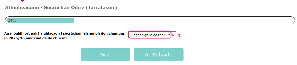 Image of Reassessment Irish Work Placement screen