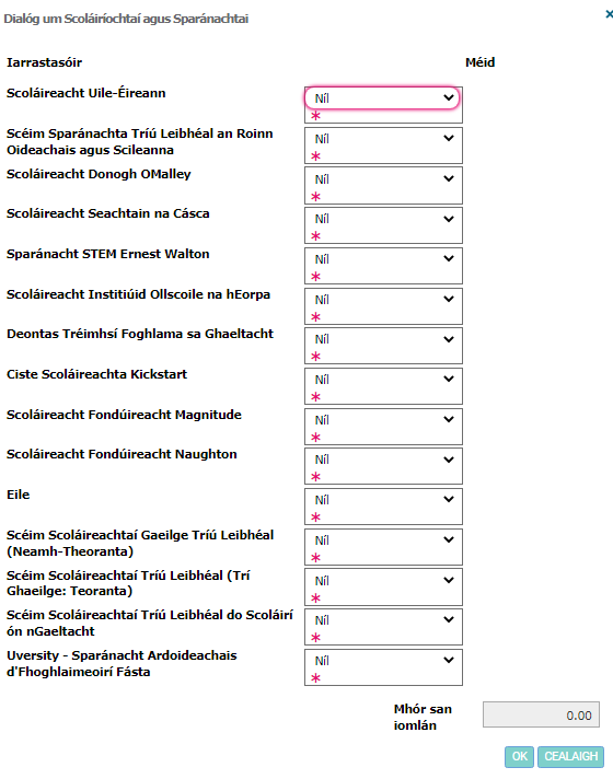 Image of Irish Income scolarships-bussary